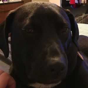 Meet your Posher, Evan